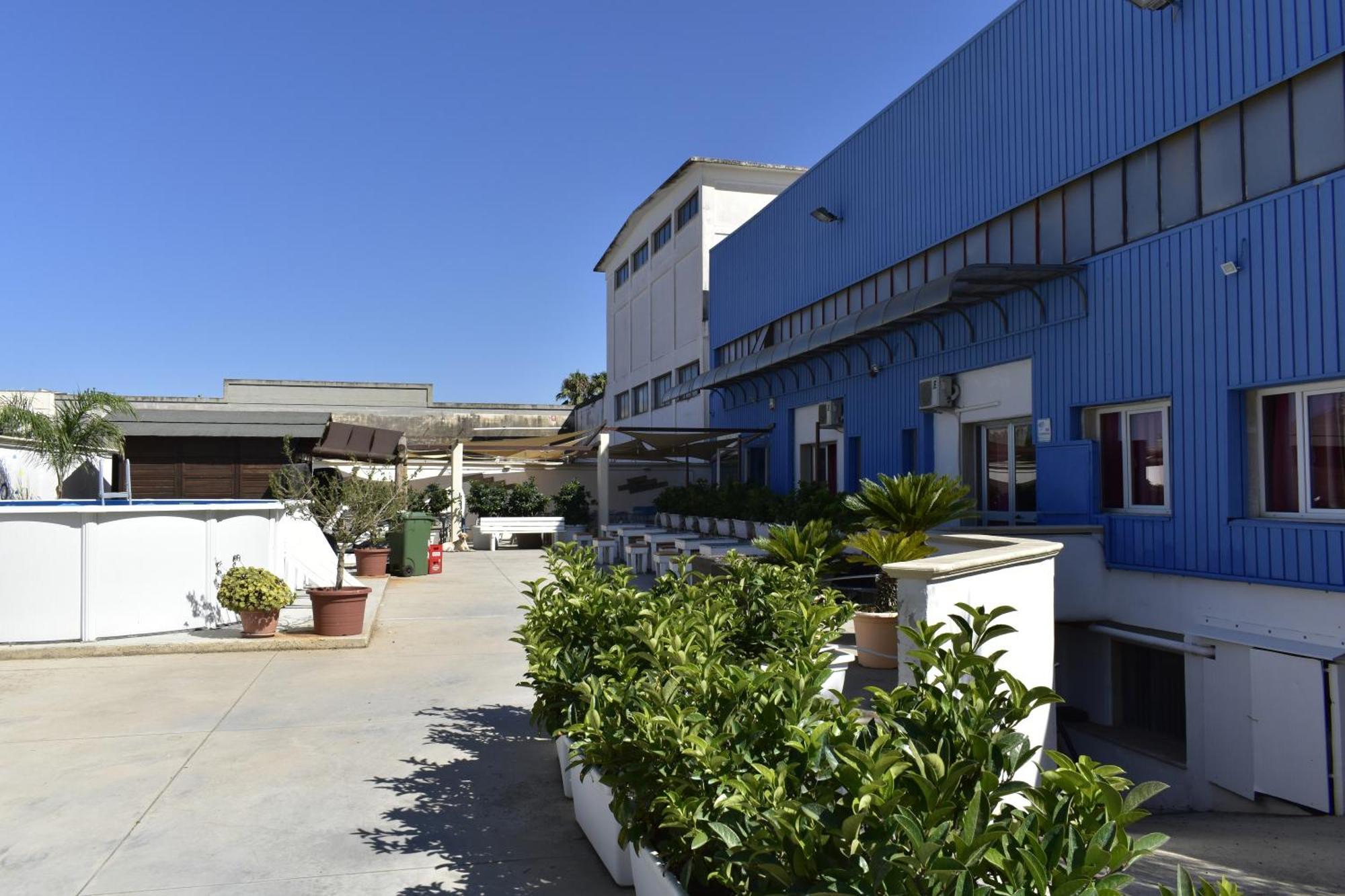 Ostello Salento Alezio Ngoại thất bức ảnh